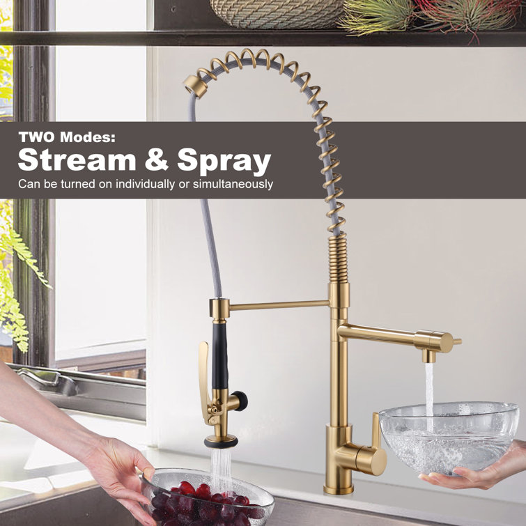 Brushed Gold Commercial High-Arc Kitchen Faucet with Pull-Out Spray