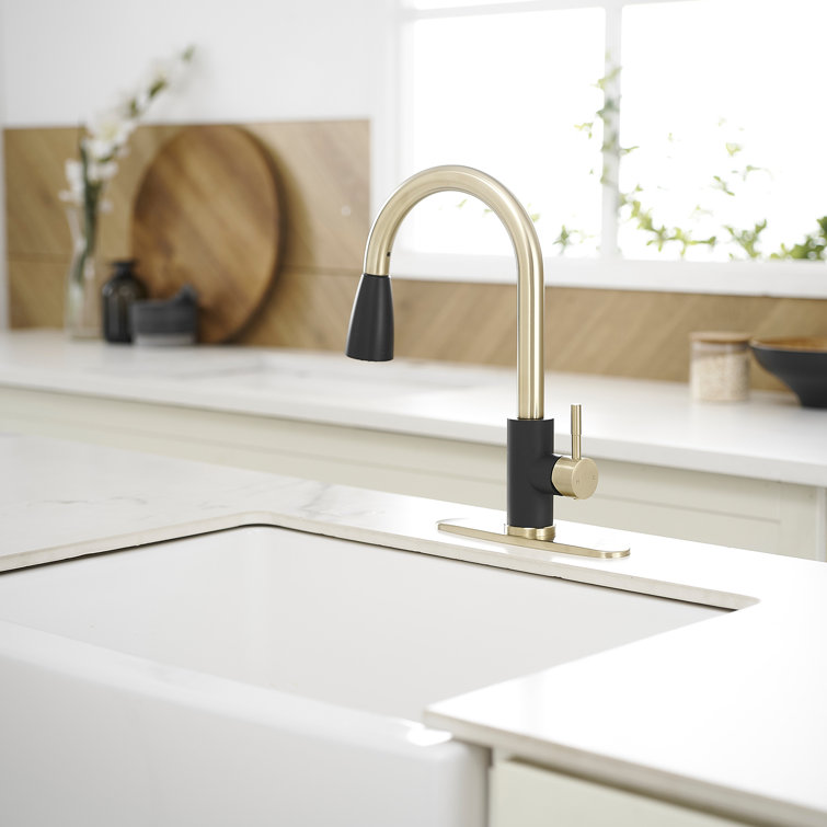 Black and Gold Stainless Steel Pull Down Kitchen Faucet with Sprayer