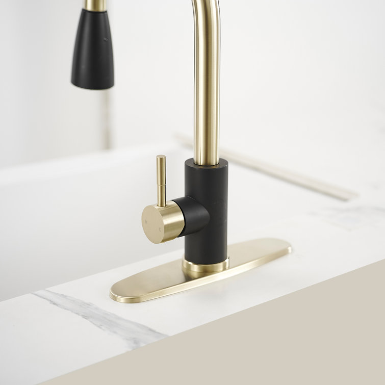 Black and Gold Stainless Steel Pull Down Kitchen Faucet with Sprayer