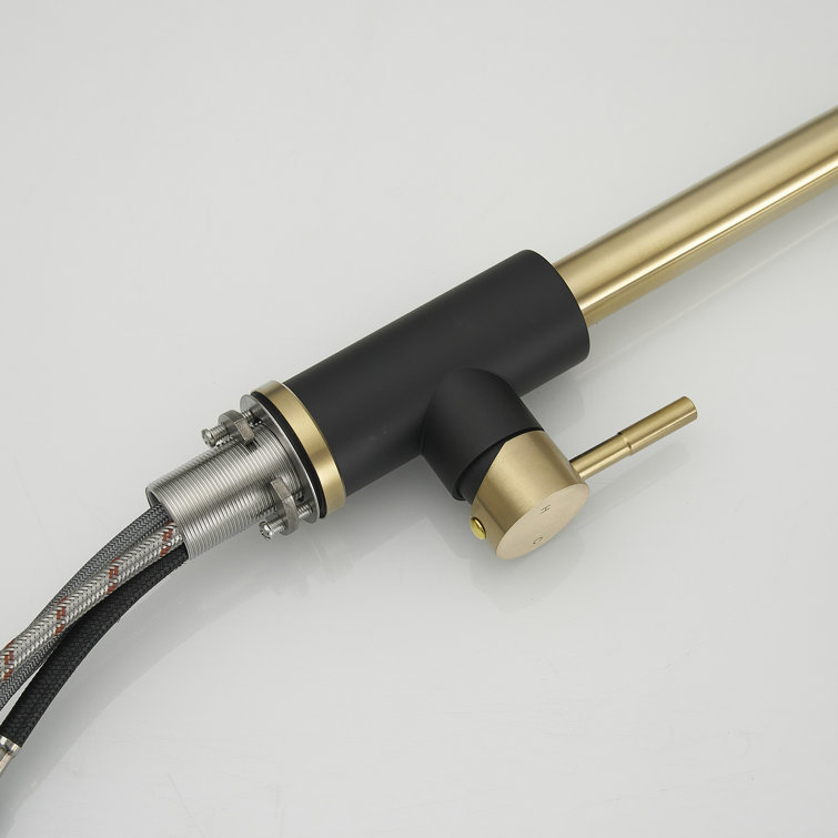 Black and Gold Stainless Steel Pull Down Kitchen Faucet with Sprayer
