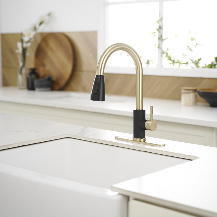 Black and Gold Stainless Steel Pull Down Kitchen Faucet with Sprayer