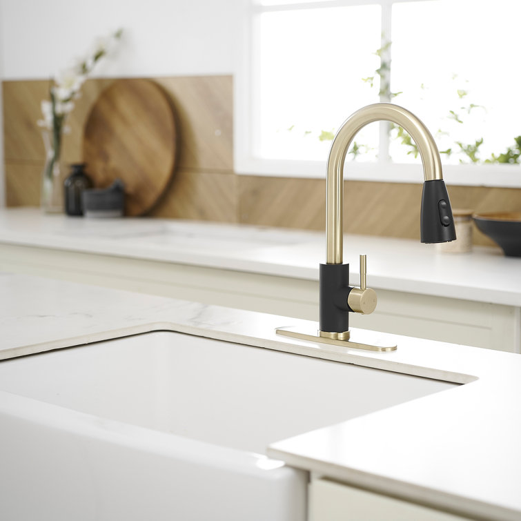 Black and Gold Stainless Steel Pull Down Kitchen Faucet with Sprayer