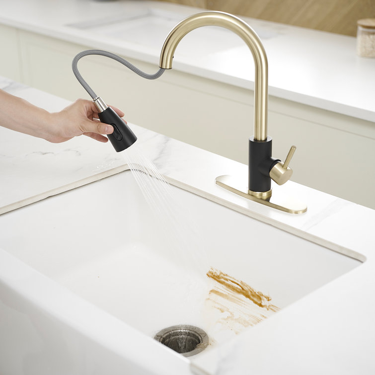 Black and Gold Stainless Steel Pull Down Kitchen Faucet with Sprayer