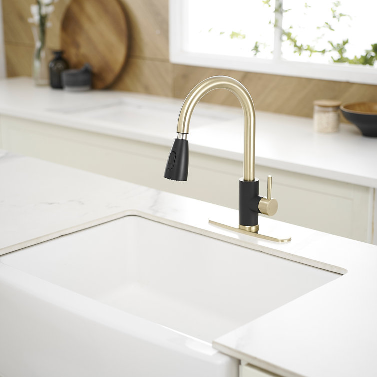 Black and Gold Stainless Steel Pull Down Kitchen Faucet with Sprayer