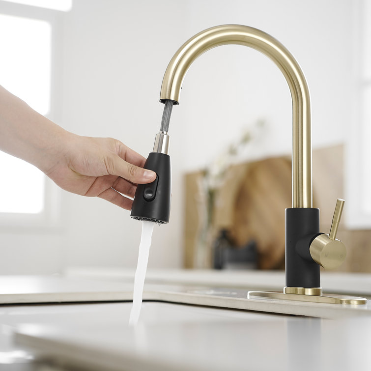Black and Gold Stainless Steel Pull Down Kitchen Faucet with Sprayer