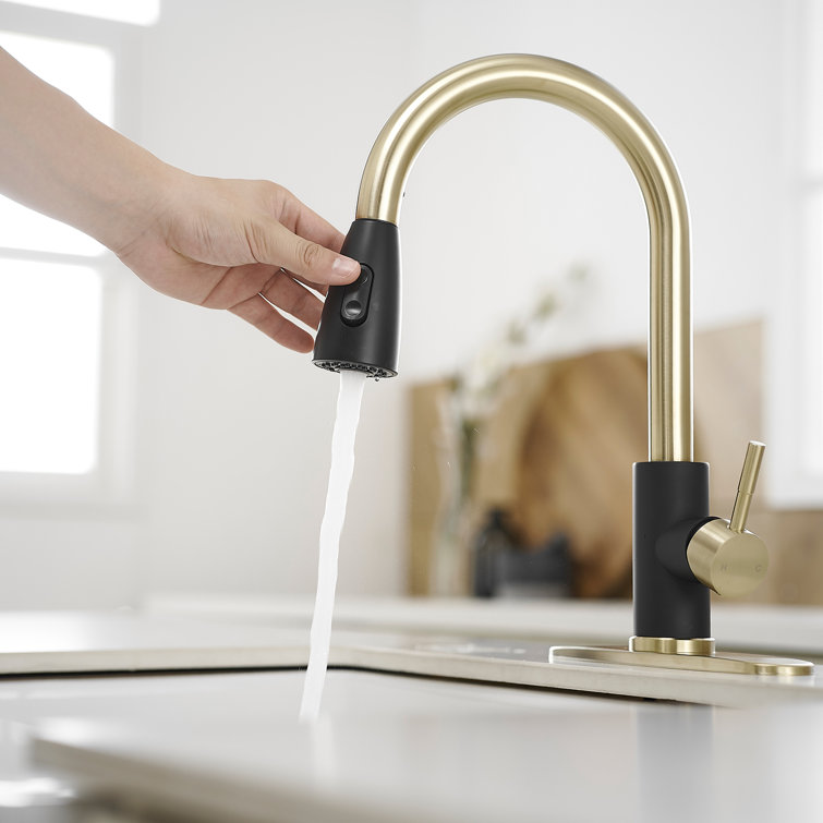 Black and Gold Stainless Steel Pull Down Kitchen Faucet with Sprayer