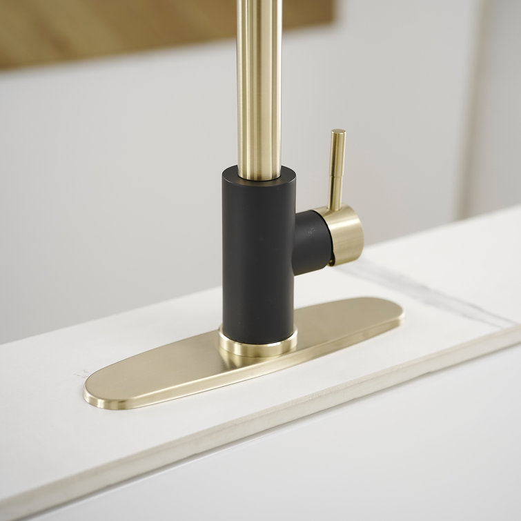 Black and Gold Stainless Steel Pull Down Kitchen Faucet with Sprayer