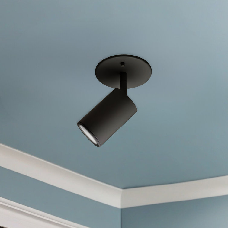 Barclay Black Powder-Coat Adjustable Spotlight
