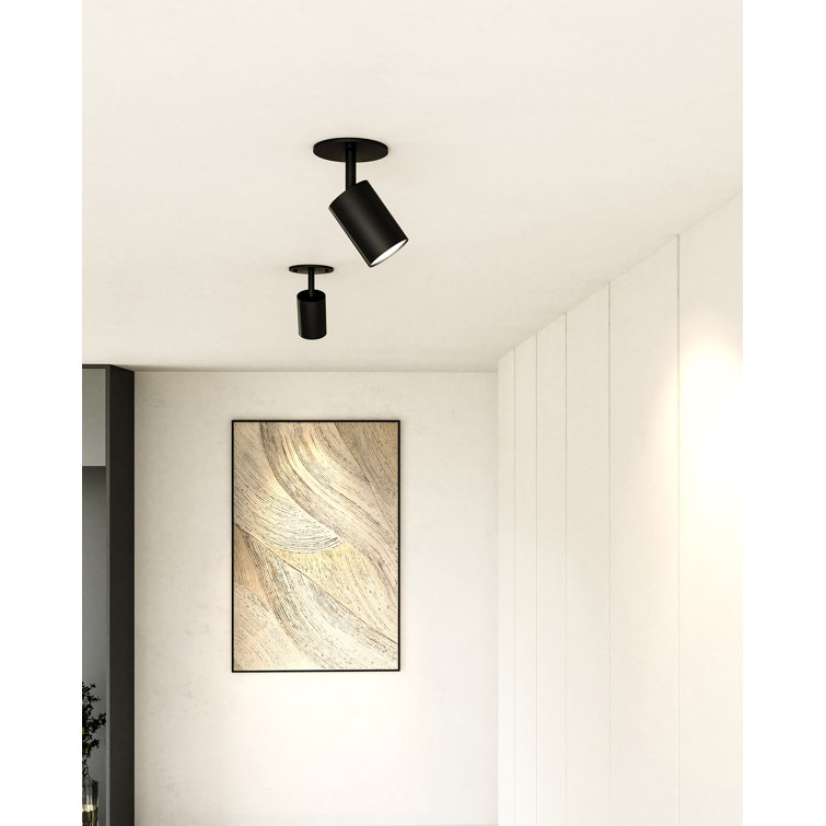 Barclay Black Powder-Coat Adjustable Spotlight