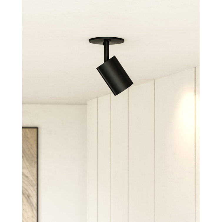 Barclay Black Powder-Coat Adjustable Spotlight