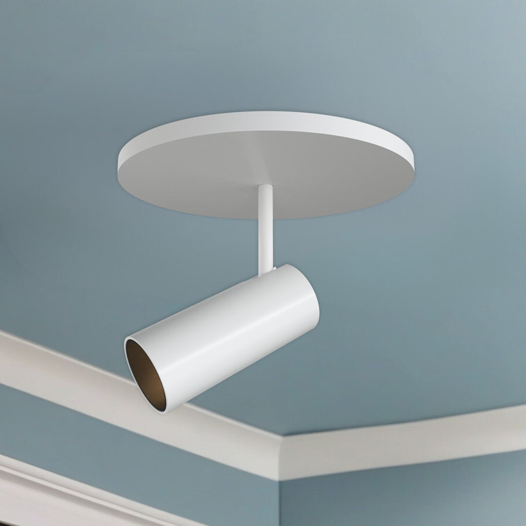 Monae Retro Black LED Orb Flush Mount Spotlight