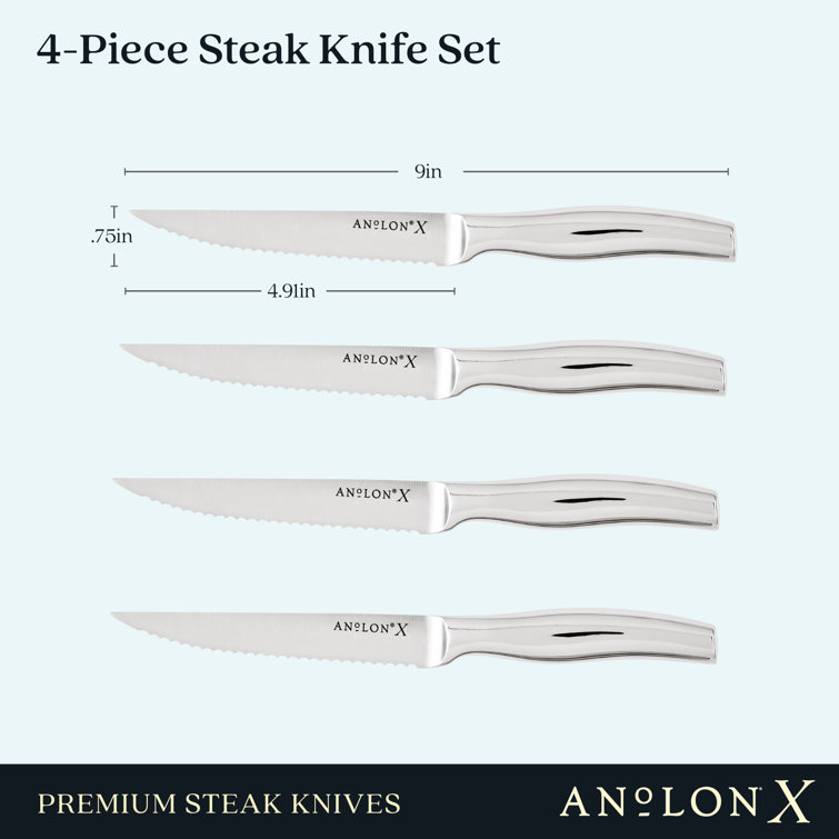 Anolon Anolon X Steak Knife Set, 4 Piece, Stainless Steel