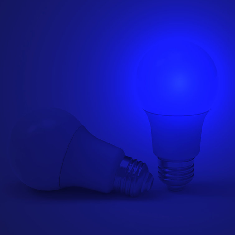 Blue 5W LED Screw-in Outdoor Bulbs, Set of 2