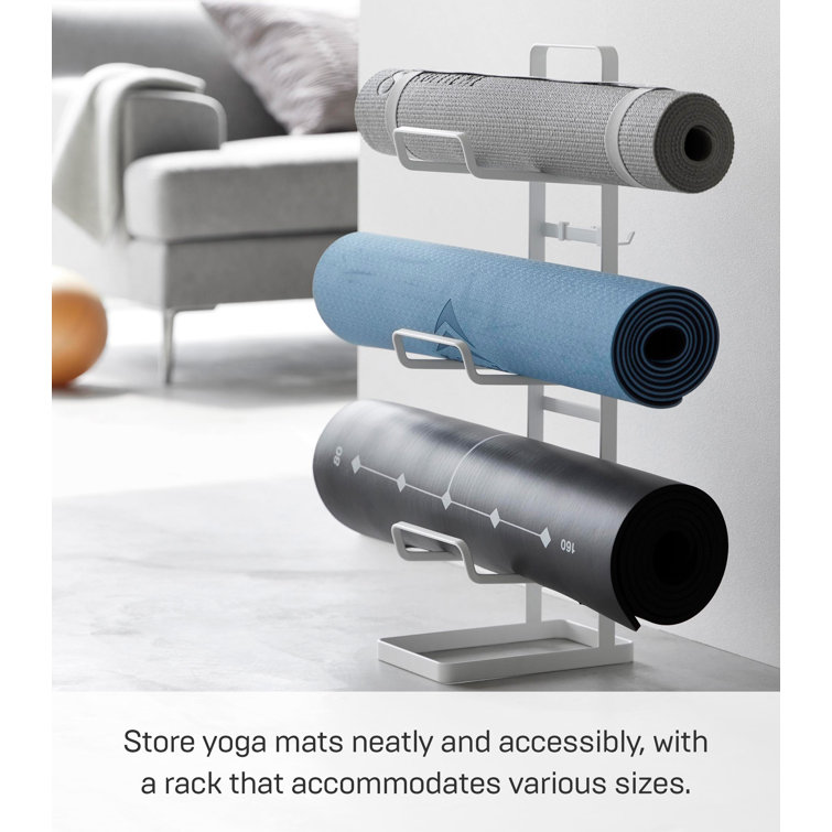 White Steel Home Fitness Equipment Storage Rack with Hooks