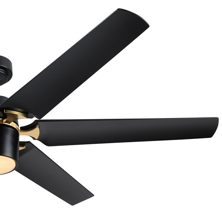 Modern 60'' Black and Gold Ceiling Fan with LED Light and Remote