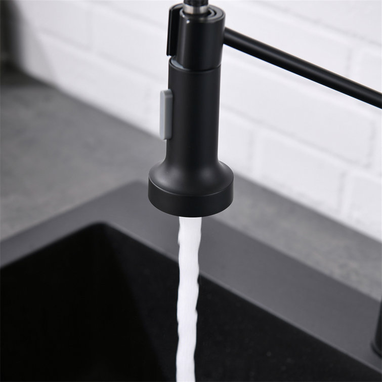 Black and Brushed Nickel Stainless Steel Pull Down Kitchen Faucet
