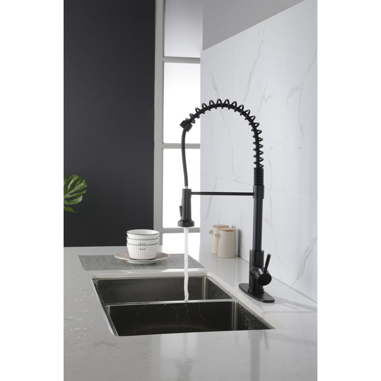Matte Black Stainless Steel Pull-Down Kitchen Faucet