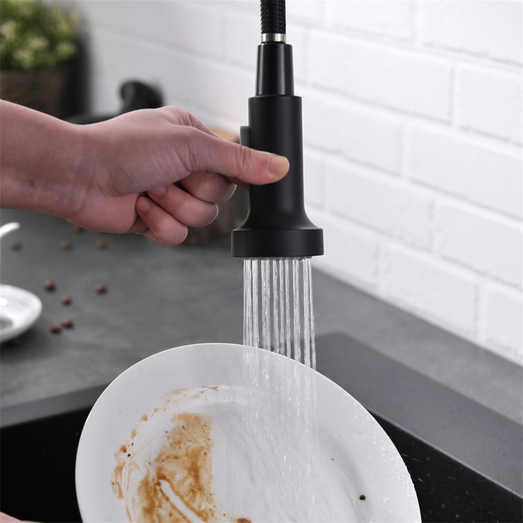 Black and Brushed Nickel Stainless Steel Pull Down Kitchen Faucet