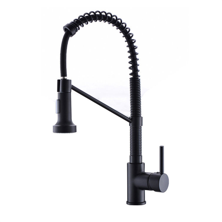Black and Brushed Nickel Stainless Steel Pull Down Kitchen Faucet