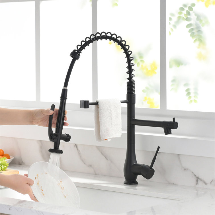 Black Stainless Steel Commercial Single Handle Kitchen Faucet with Pull-Down Sprayer