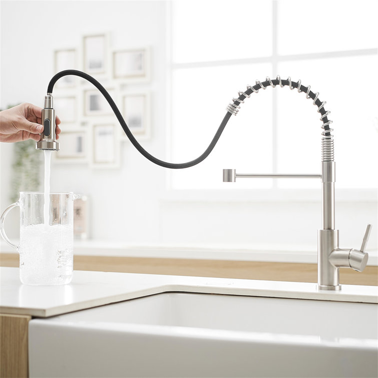 Stainless Steel Pull-Out Spray Kitchen Faucet with Spring Design