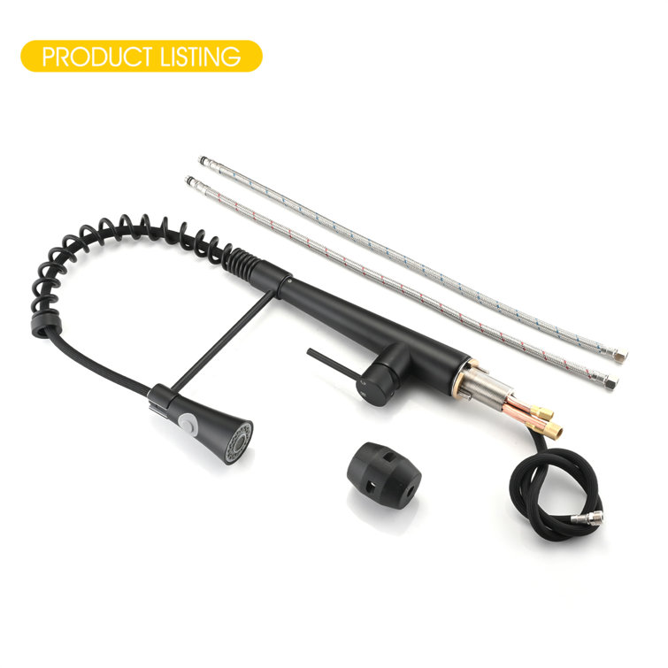 Matte Black Stainless Steel Kitchen Faucet with Pull Down Sprayer