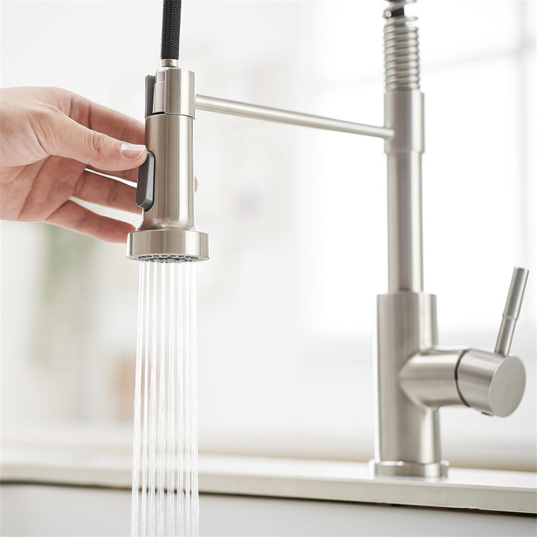 Stainless Steel Pull-Out Spray Kitchen Faucet with Spring Design