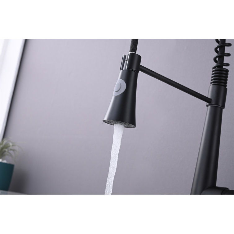 Matte Black Stainless Steel Kitchen Faucet with Pull Down Sprayer