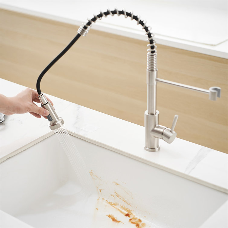 Stainless Steel Pull-Out Spray Kitchen Faucet with Spring Design
