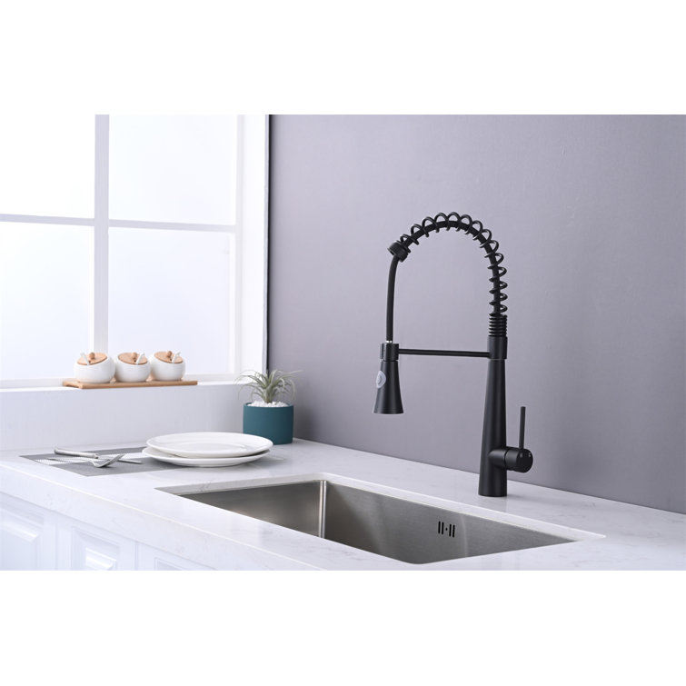 Matte Black Stainless Steel Kitchen Faucet with Pull Down Sprayer