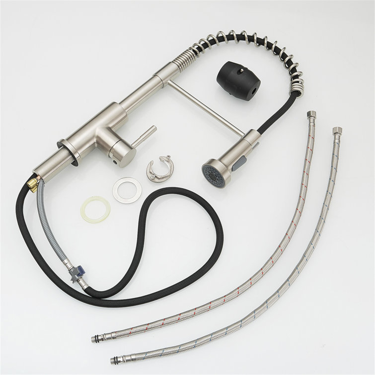 Stainless Steel Pull-Out Spray Kitchen Faucet with Spring Design