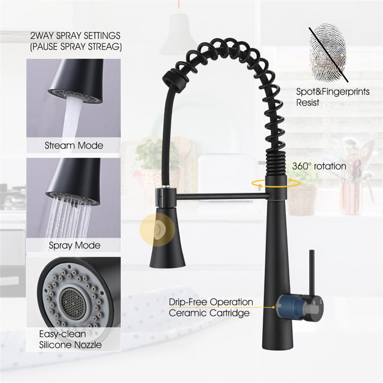 Matte Black Stainless Steel Kitchen Faucet with Pull Down Sprayer