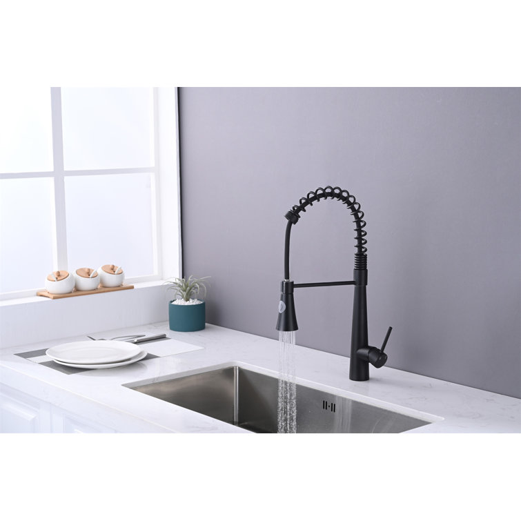 Matte Black Stainless Steel Kitchen Faucet with Pull Down Sprayer