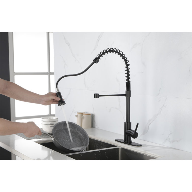 Matte Black Stainless Steel Pull-Down Kitchen Faucet