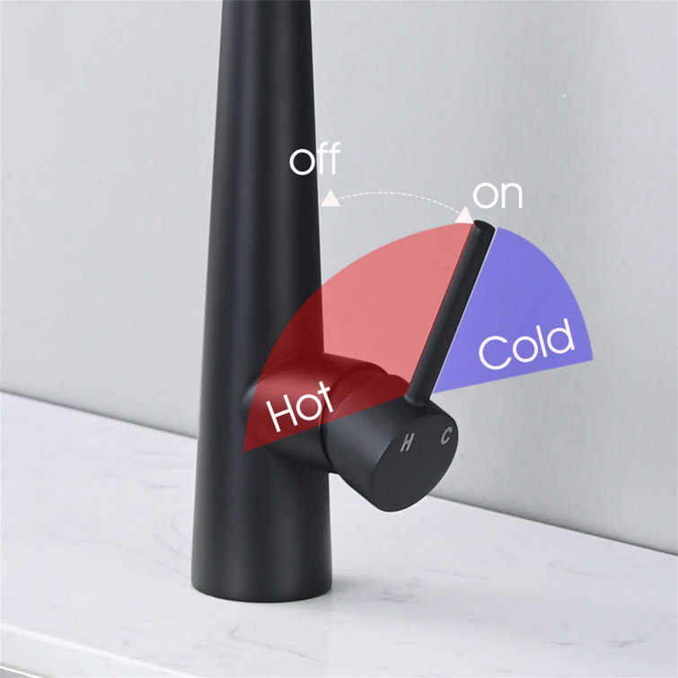 Matte Black Stainless Steel Kitchen Faucet with Pull Down Sprayer