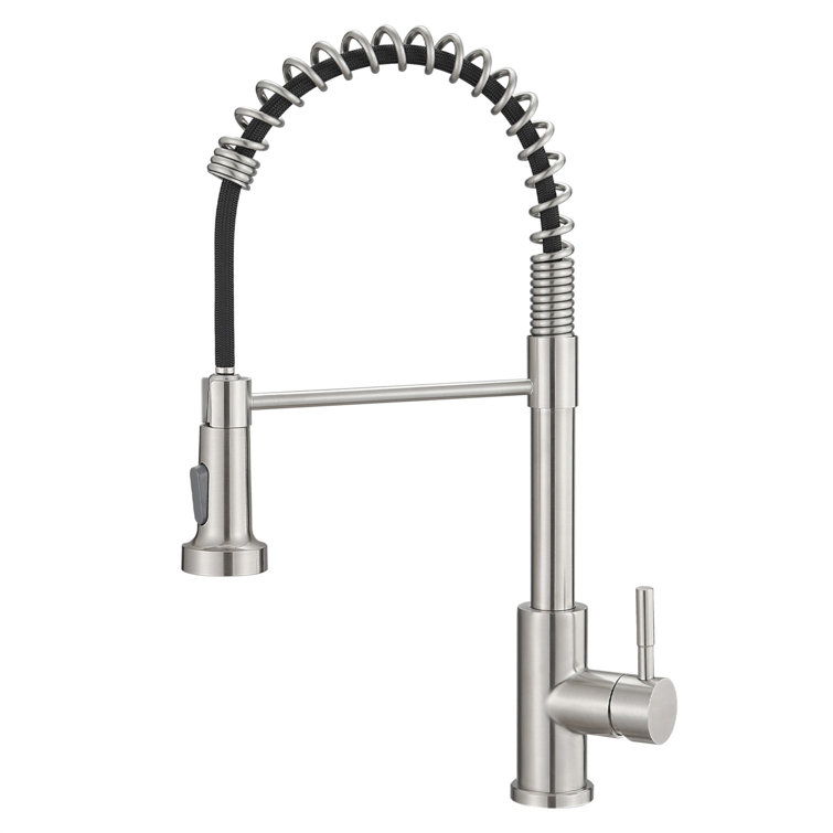 Stainless Steel Pull-Out Spray Kitchen Faucet with Spring Design