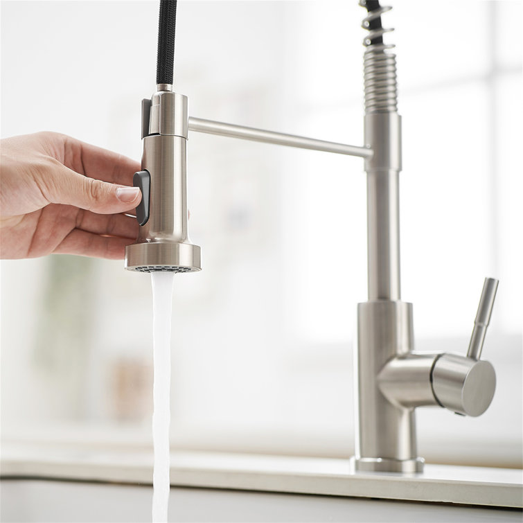 Stainless Steel Pull-Out Spray Kitchen Faucet with Spring Design