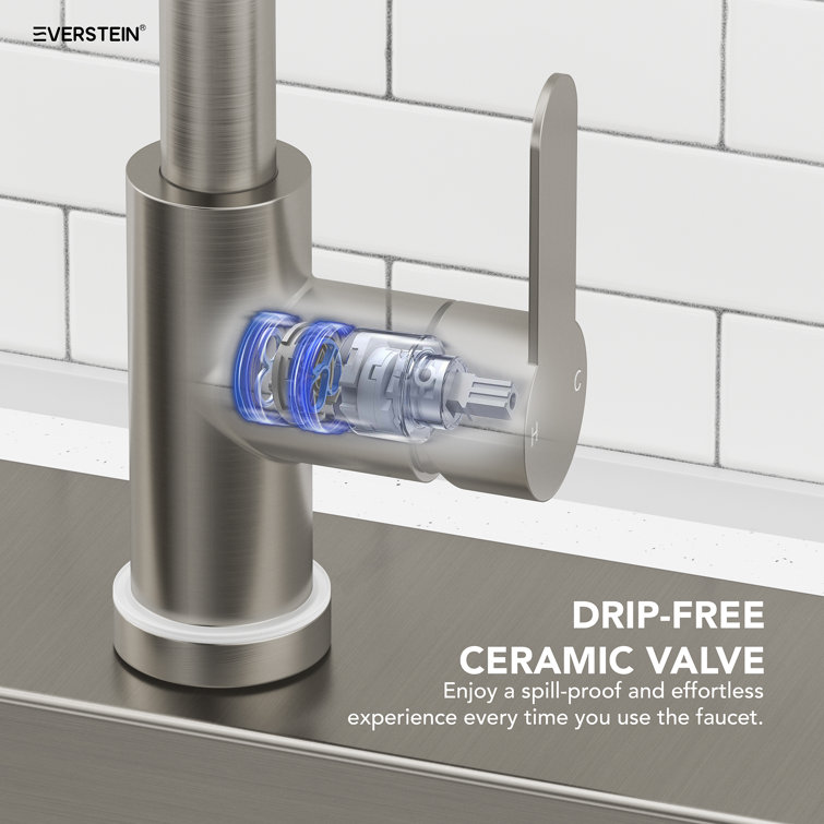 Brushed Nickel Single Handle Kitchen Faucet with Pull-Out Spray