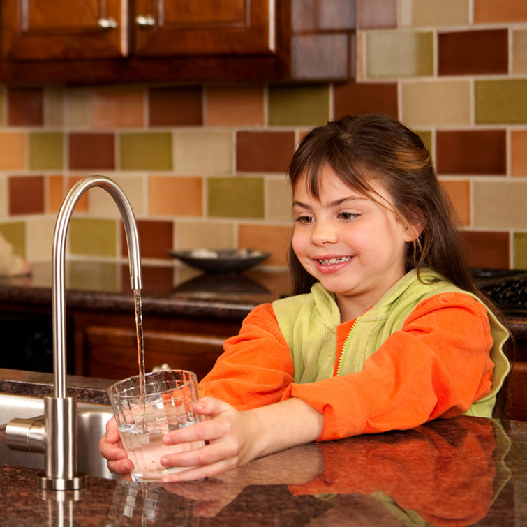 Natural Carbon Under-Sink Water Filter Replacement Cartridge