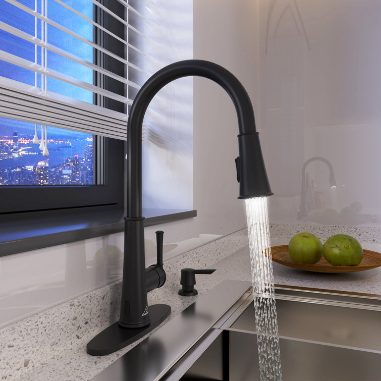 Matte Black Stainless Steel Pull-Down Kitchen Faucet with LED Light