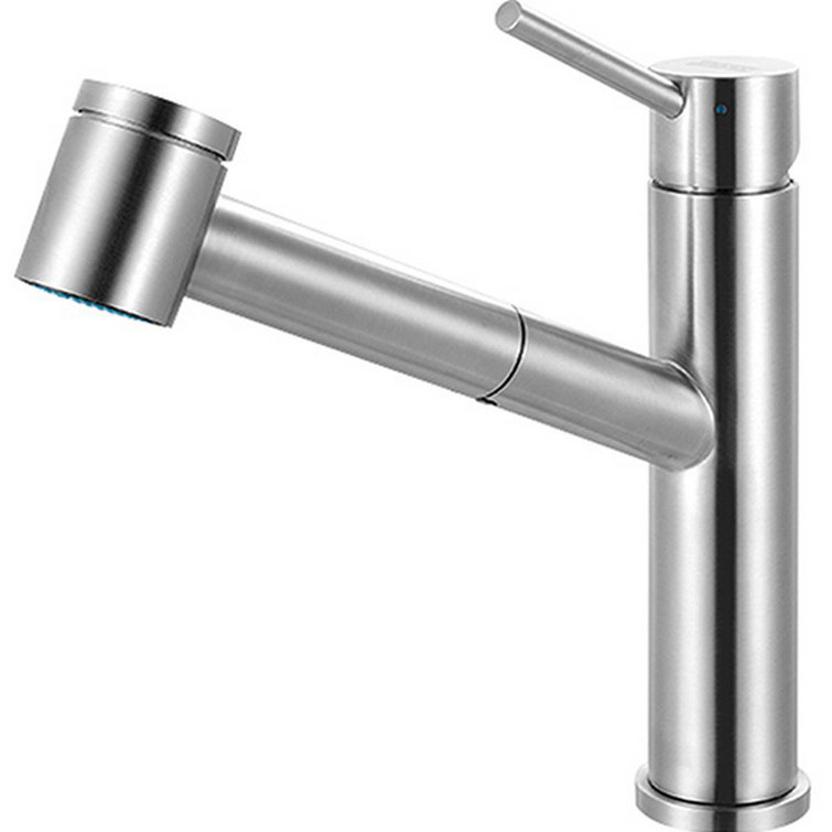 Stainless Steel Modern Pull-Out Spray Kitchen Faucet