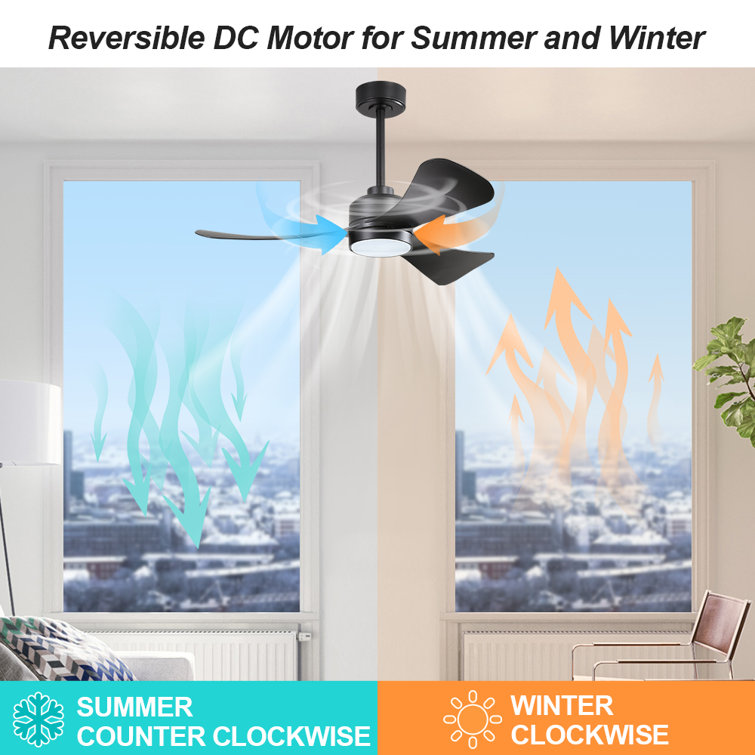 42'' Black Ceiling Fan with Light and Remote