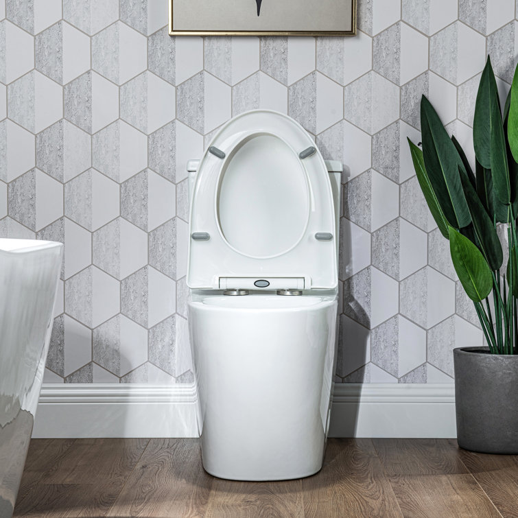 White Ceramic Dual-Flush Elongated One-Piece Toilet with Comfort Seat