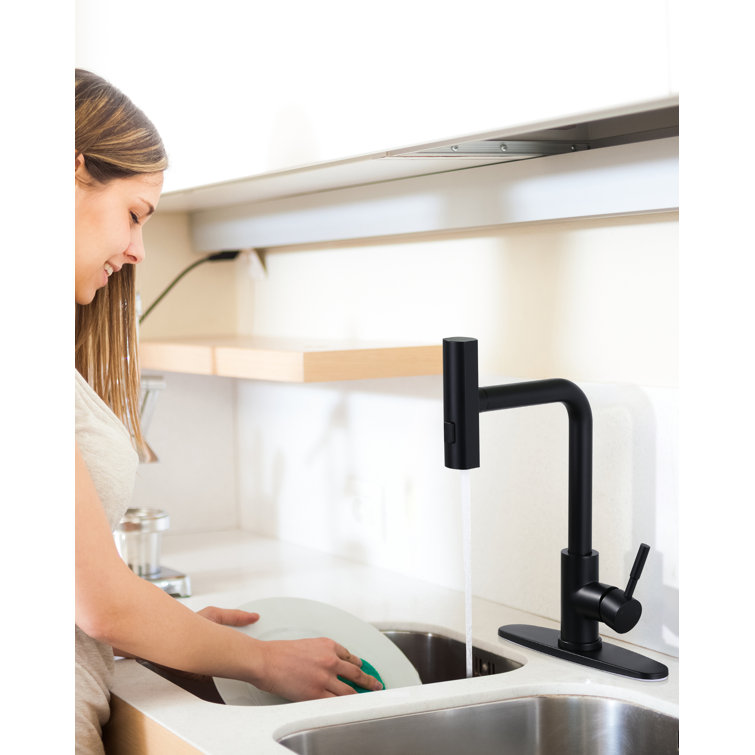 Matte Black Stainless Steel Pull Down Kitchen Faucet with Spray