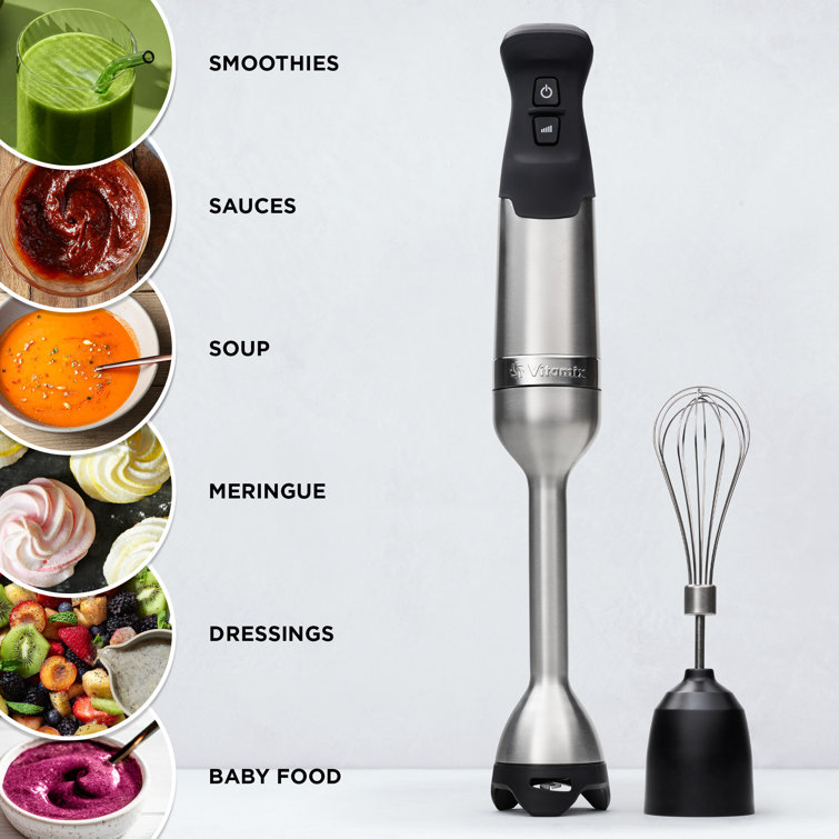 Silver Stainless Steel Immersion Blender with Whisk and Storage Case