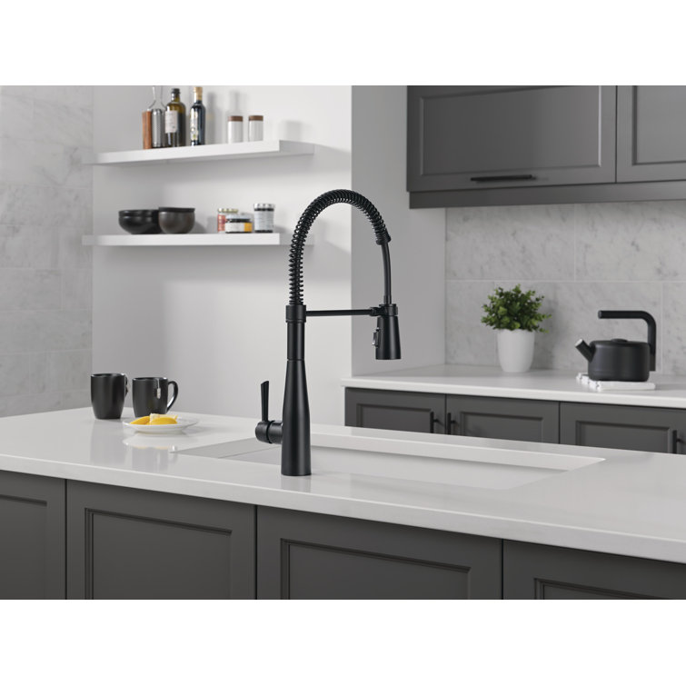 Matte Black Single-Handle Pull-Down Spring Kitchen Faucet