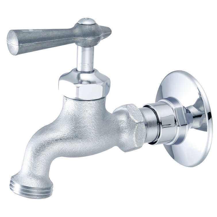 Silver Chrome Single Handle Wall Mounted Faucet