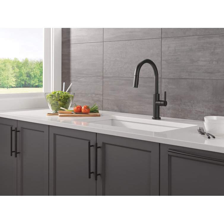 Matte Black Single Handle Pull-Down Kitchen Faucet with Sprayer