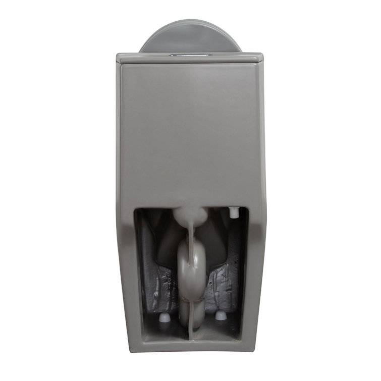 Light Gray Ceramic Dual Flush Elongated One-Piece Toilet