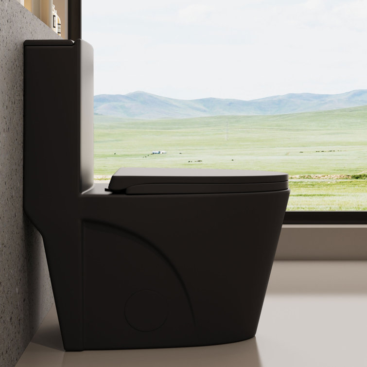 Matte Black Ceramic Dual Flush Elongated One-Piece Toilet